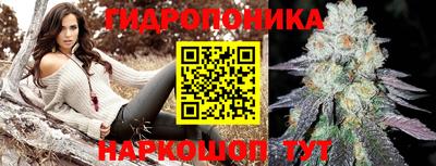 шишки Заволжье