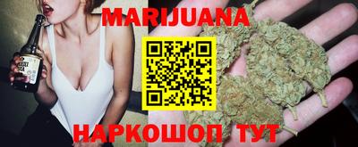 шишки Заволжье